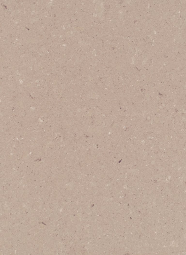 Shitake